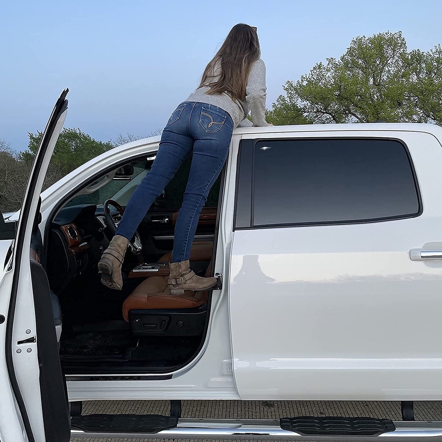 Car Doorstep Climber